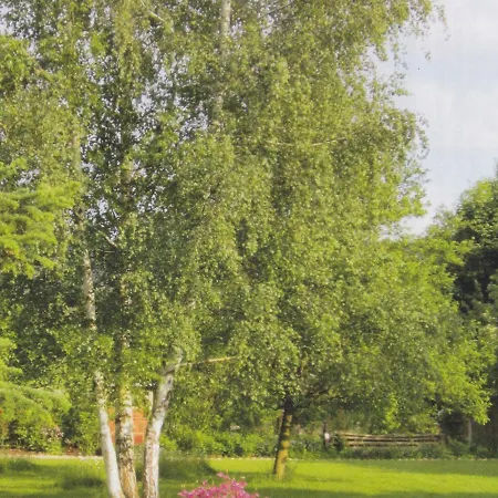 Gaestehaus Reimold アパート *