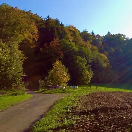 Gaestehaus Reimold * ベーブラ