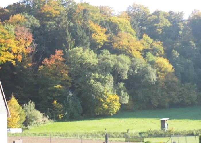 Lägenhet Gaestehaus Reimold